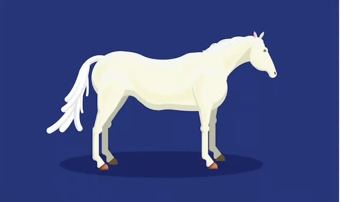 The Interim Leader: The Man on the White Horse