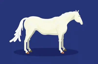 The Interim Leader: The Man on the White Horse